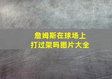 詹姆斯在球场上打过架吗图片大全