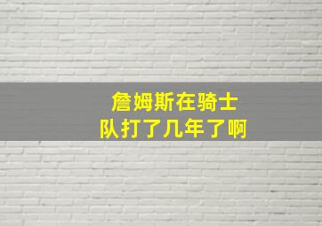 詹姆斯在骑士队打了几年了啊