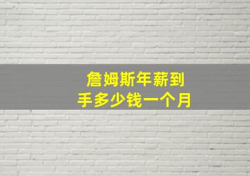 詹姆斯年薪到手多少钱一个月