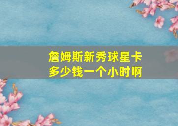 詹姆斯新秀球星卡多少钱一个小时啊