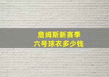 詹姆斯新赛季六号球衣多少钱