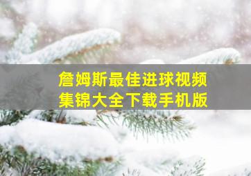 詹姆斯最佳进球视频集锦大全下载手机版