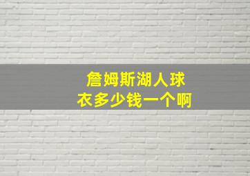 詹姆斯湖人球衣多少钱一个啊