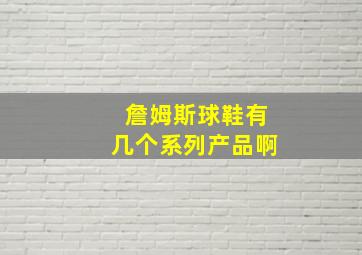 詹姆斯球鞋有几个系列产品啊