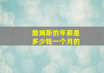 詹姆斯的年薪是多少钱一个月的