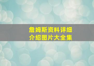 詹姆斯资料详细介绍图片大全集