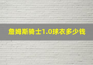 詹姆斯骑士1.0球衣多少钱