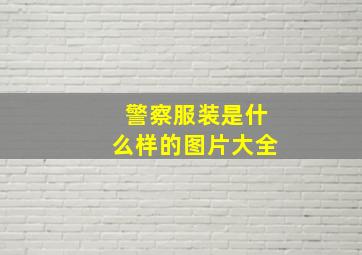 警察服装是什么样的图片大全