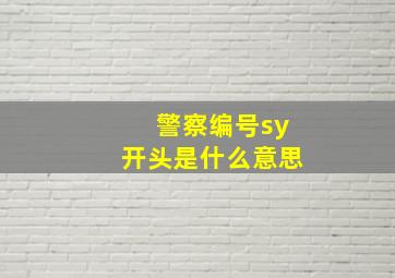 警察编号sy开头是什么意思