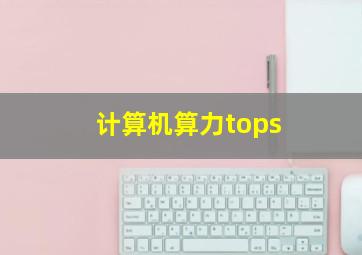 计算机算力tops