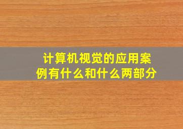 计算机视觉的应用案例有什么和什么两部分