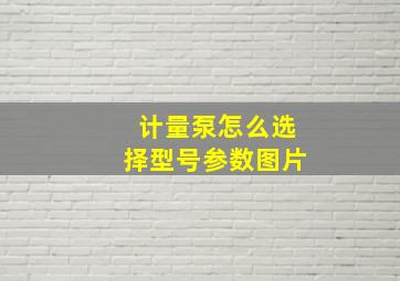 计量泵怎么选择型号参数图片