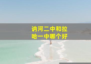 讷河二中和拉哈一中哪个好