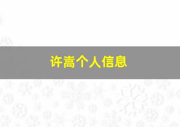 许嵩个人信息