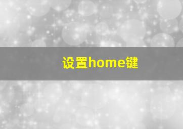 设置home键