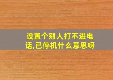 设置个别人打不进电话,已停机什么意思呀