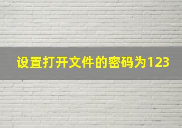 设置打开文件的密码为123