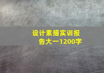 设计素描实训报告大一1200字