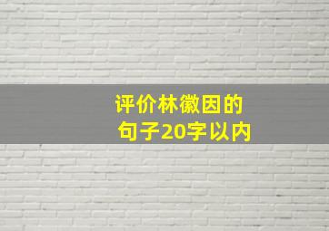 评价林徽因的句子20字以内