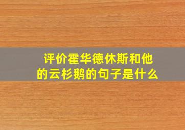 评价霍华德休斯和他的云杉鹅的句子是什么