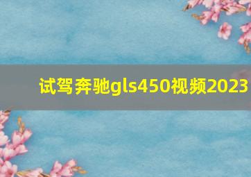 试驾奔驰gls450视频2023