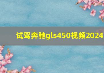 试驾奔驰gls450视频2024