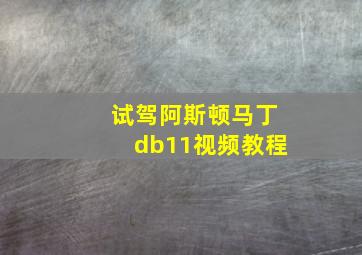 试驾阿斯顿马丁db11视频教程