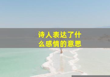 诗人表达了什么感情的意思