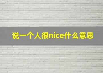 说一个人很nice什么意思