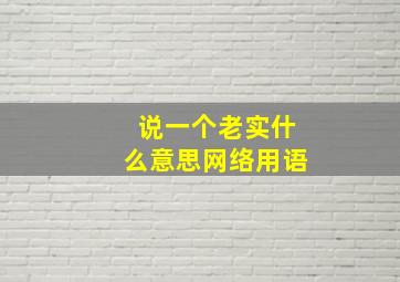 说一个老实什么意思网络用语