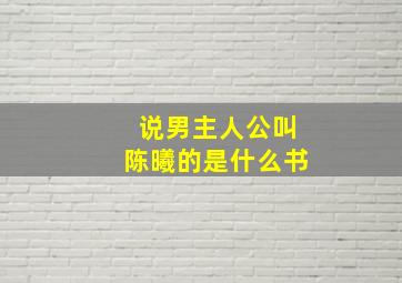 说男主人公叫陈曦的是什么书