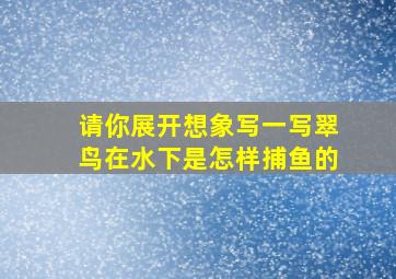 请你展开想象写一写翠鸟在水下是怎样捕鱼的