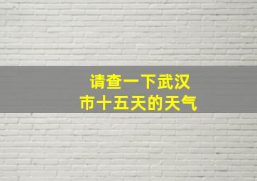 请查一下武汉市十五天的天气