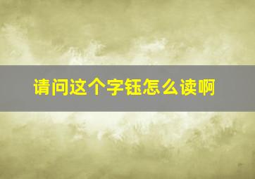 请问这个字钰怎么读啊