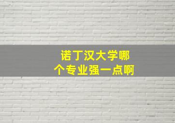 诺丁汉大学哪个专业强一点啊