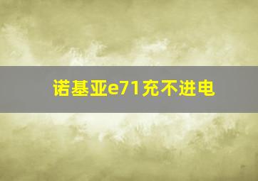 诺基亚e71充不进电