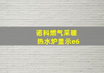 诺科燃气采暖热水炉显示e6