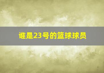 谁是23号的篮球球员