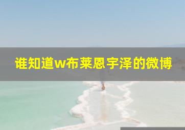 谁知道w布莱恩宇泽的微博