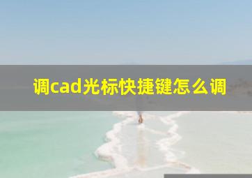 调cad光标快捷键怎么调