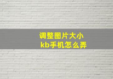 调整图片大小kb手机怎么弄