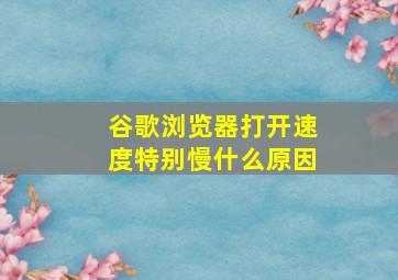 谷歌浏览器打开速度特别慢什么原因