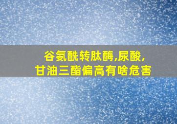 谷氨酰转肽酶,尿酸,甘油三酯偏高有啥危害