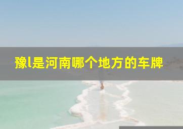 豫l是河南哪个地方的车牌