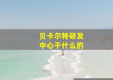 贝卡尔特研发中心干什么的