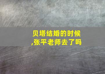 贝塔结婚的时候,张平老师去了吗