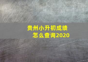 贵州小升初成绩怎么查询2020