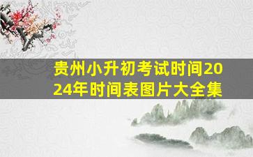 贵州小升初考试时间2024年时间表图片大全集