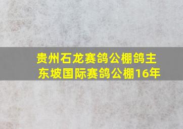 贵州石龙赛鸽公棚鸽主东坡国际赛鸽公棚16年