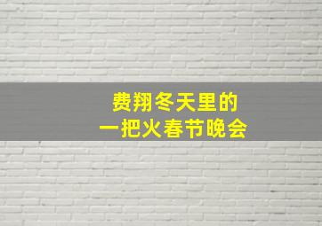 费翔冬天里的一把火春节晚会